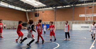 Nueva galería de fotos babybasket